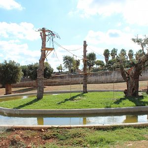 Lar Gibbon Island (within Asiatic Black Bear Reserve) - Oct 2019
