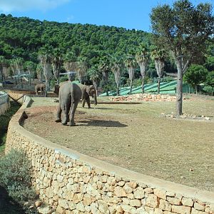 Elephant Enclosures - Oct 2019