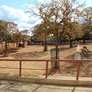 White Rhino Enclosure - Oct 2019