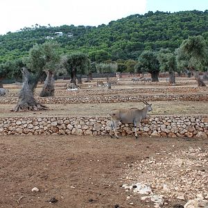 Main Reserve - Oct 2019