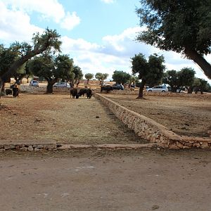 Min Reserve - Oct 2019