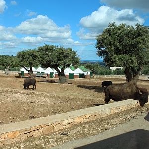 Main Reserve - Oct 2019