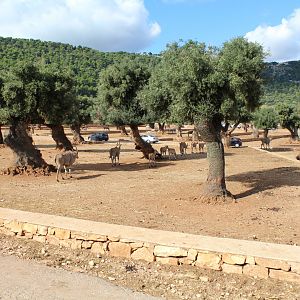 Main Reserve - Oct 2019