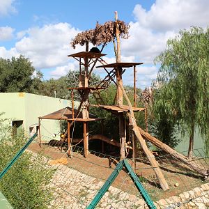 Chimpanzee Enclosure - Oct 2019