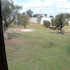 African Hunting Dog Enclosure - Oct 2019