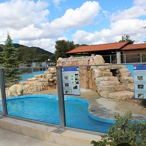 Polar Bear Enclosure - Oct 2019