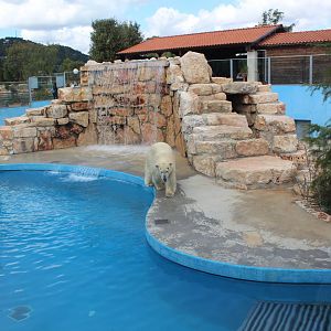 Polar Bear Enclosure - Oct 2019