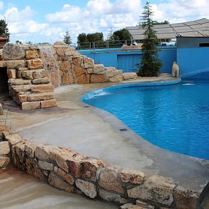 Polar Bear Enclosure - Oct 2019