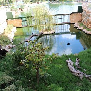 Empty Enclosure by Main Lake - Oct 2019