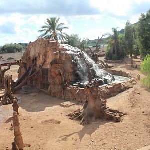 Hamadryas Baboon Enclosure  -Oct 2019