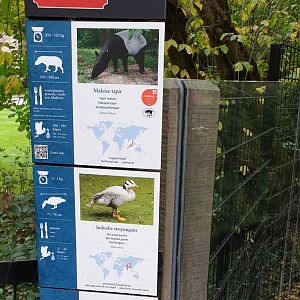 Signs and birth-sign Malayan tapir