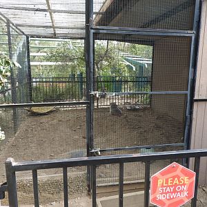 American Badger exhibit