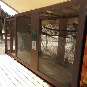 Laughing Kookaburra exhibit