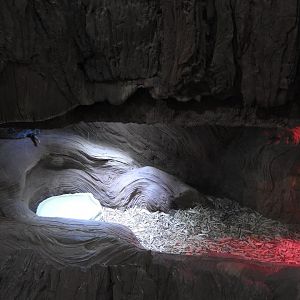 Western Pacific Rattlesnake exhibit