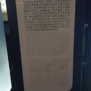 Viewing Window Signage