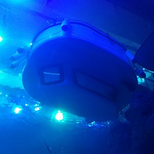 Whale Shark Tank 'Submarine'