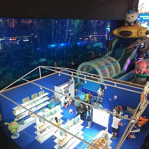 Whale Shark Main Window with Inflatable