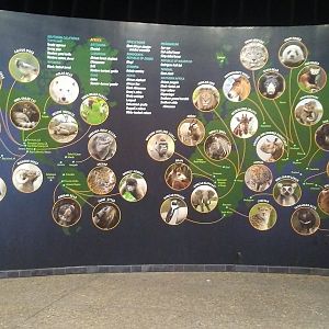 Conservation Programs Signage