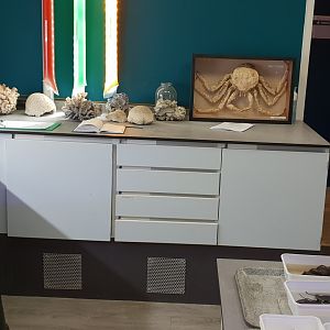 View into the Public Marine Lab