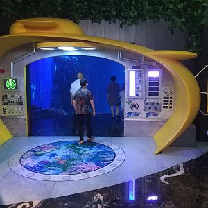 Yellow Submarine Doorway