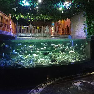 Tank with Overhead Bridge