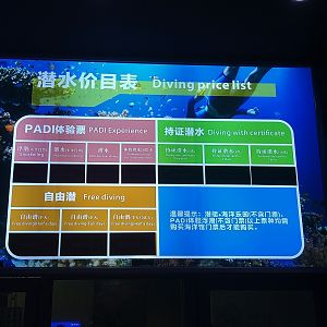 Diving Experience Price Chart