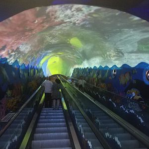 Escalator with Overhead Projector Screen