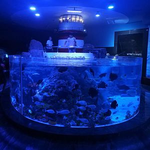 Tank with Boat Viewing Platform