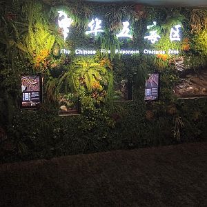 Poisonous Creatures Terraria