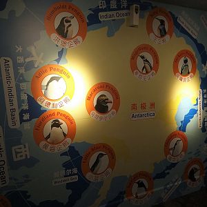 Penguin Signage