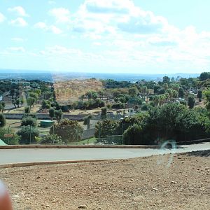 Elephant Complex - Oct 2019