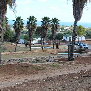 Elephant Complex - Oct 2019