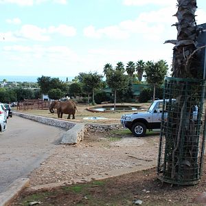 Elephant Complex - Oct 2019