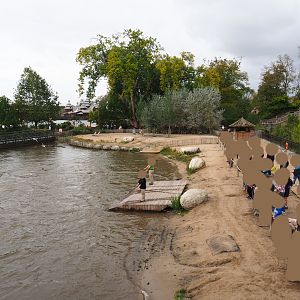 Black-footed penguin and Eastern Atlantic harbor seal exhibit seen from the lighthouse, 2019-10-04