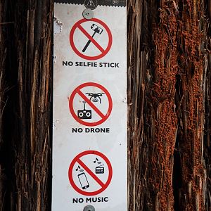 Rules sign, 2019-10-04