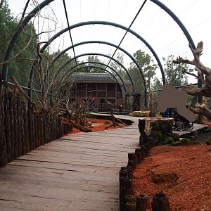 Australian walk-through aviary, 2019-10-04