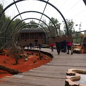 Australian walk-through aviary, 2019-10-04