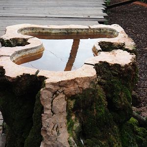 Australian aviary bird bath, 2019-10-04