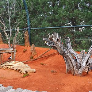 Australian walk-through aviary, 2019-10-04