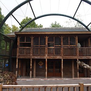 Australian animal house, 2019-10-04