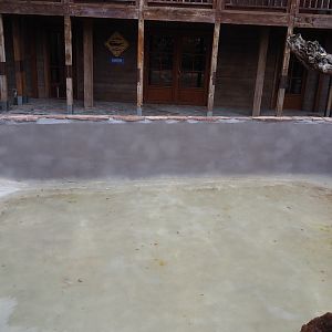 Future little blue penguin pool, 2019-10-04