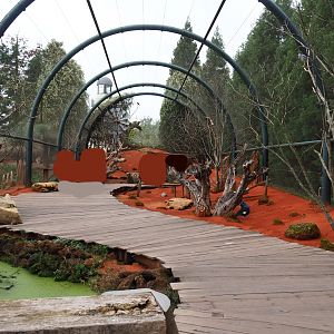 Australian walk-through aviary, 2019-10-04