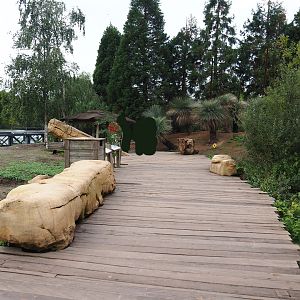 Walk-through exhibit with Australian pelicans, eastern grey kangaroos and red kangaroos, 2019-10-04