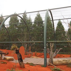 Australian walk-through aviary, 2019-10-04
