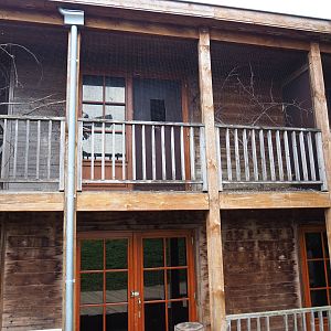 Australian animal house with kangaroo stables and laughing kookaburra aviary, 2019-10-04