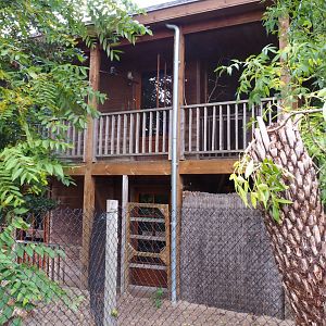 Australian animal house with kangaroo stables and blue-winged kookaburra aviary, 2019-10-04