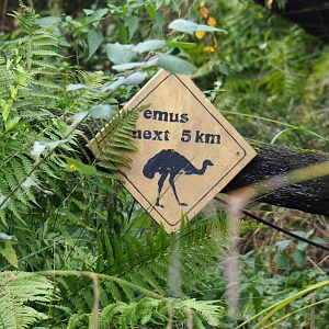 Emus next 5 kilometers sign, 2019-10-04