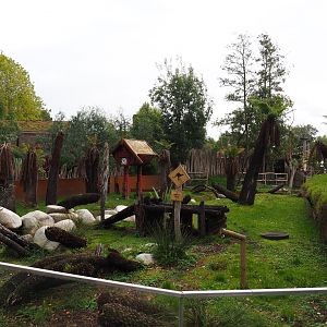 Tasmanian devil exhibit, 2019-10-04