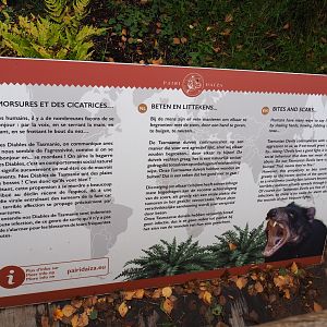 Education sign about Tasmian devil behavior and Devil Facial Tumor Disease, 2019-10-04