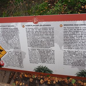 Education sign about Tasmian devil reproduction and Devil Facial Tumor Disease, 2019-10-04